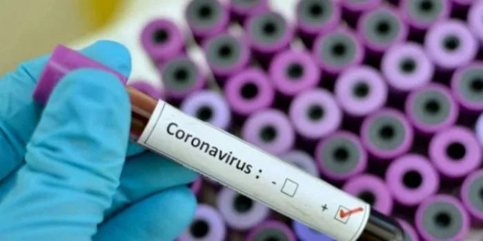 Temuan Penting Sebaran Virus Corona di Indonesia, Ini Hasil Riset Eijkman