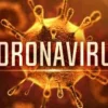 Risiko Tinggi Skala Global, WHO Sebut 2.014 Orang Positif Terjangkit Virus Corona