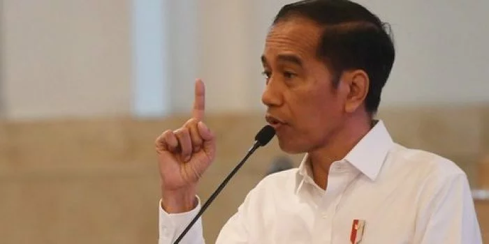 Jokowi: Banyak Daerah Keluhkan Pendapatannya Turun Drastis Akibat Corona