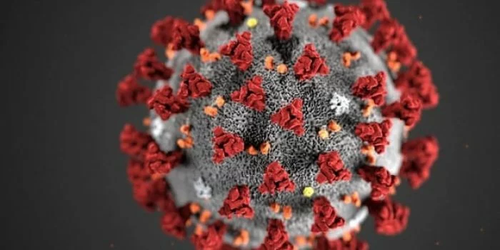 Ada Virus Corona dalam Air Mani Pria yang Terinfeksi