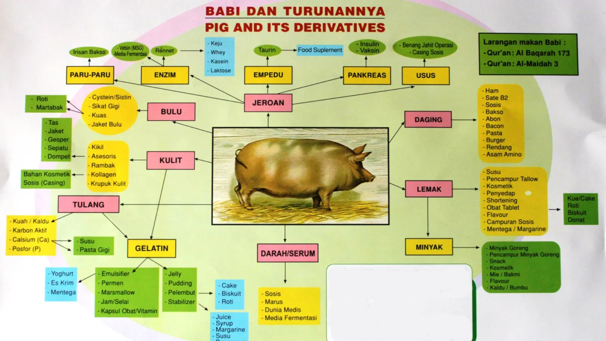 Ini Daftar Sebutan Babi di Berbagai Produk Makanan, Umat Islam Wajib Tahu