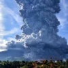 Sinabung Kembali Erupsi