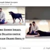 Fakta Video Anjing Zionis Israel Dilatih untuk Menerkam Orang Salat