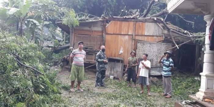 Hujan Deras Angin Kencang di Boyolali, Pohon Tumbang hingga RTLH Rubuh Memakan Korban