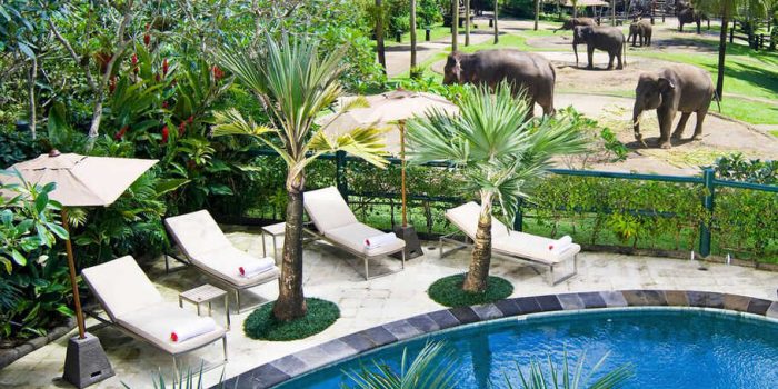 5 Rekomendasi Resort di Ubud dengan Pemandangan Alam yang Eksotis