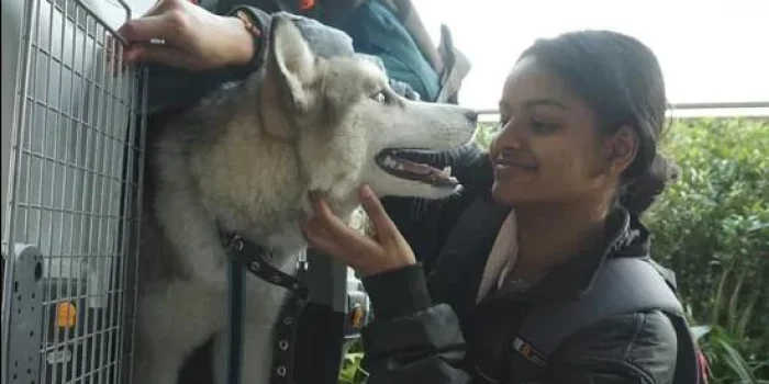 Janji Mahasiswi Kedokteran Ukraina asal India untuk Anjing Siberian Husky Saat Mau Dievakuasi