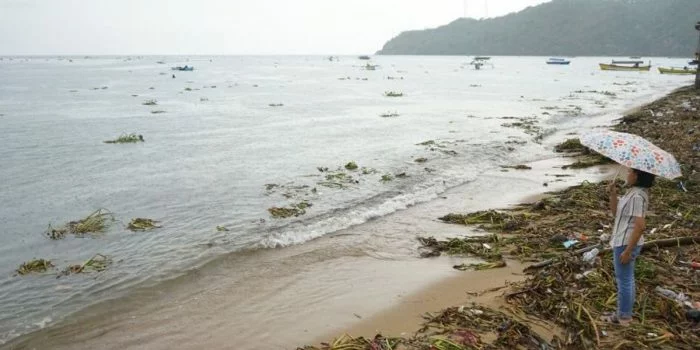 Serangan Gulma Eceng Gondok ke Destinasi Wisata Pantai Indah di Gorontalo