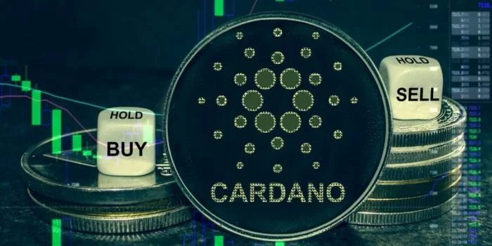 Para Pemilik Kripto Terbanyak 'Whale' Borong Kripto Cardano, Nilainya hingga Miliaran Koin