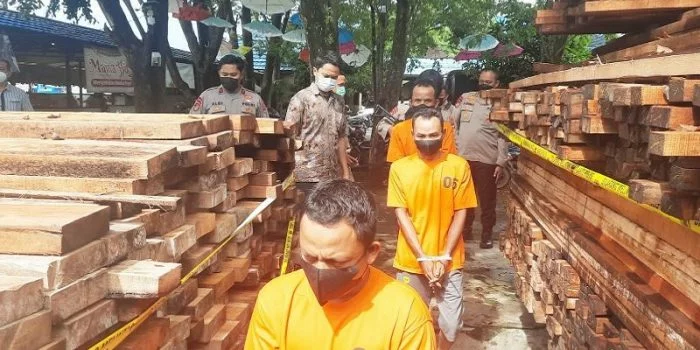 Oknum Polisi Jadi Tersangka Kepemilikan 245 Kayu Bulat Ilegal di Kalimantan Selatan