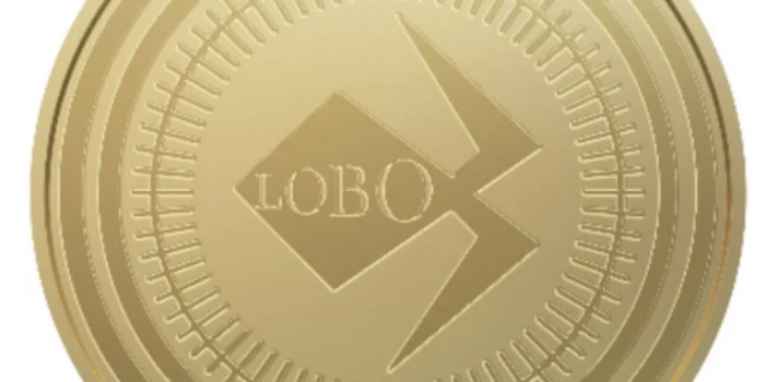 LOBO Coin Bakal Jadi Mata Uang Digital Properti Pertama di Indonesia