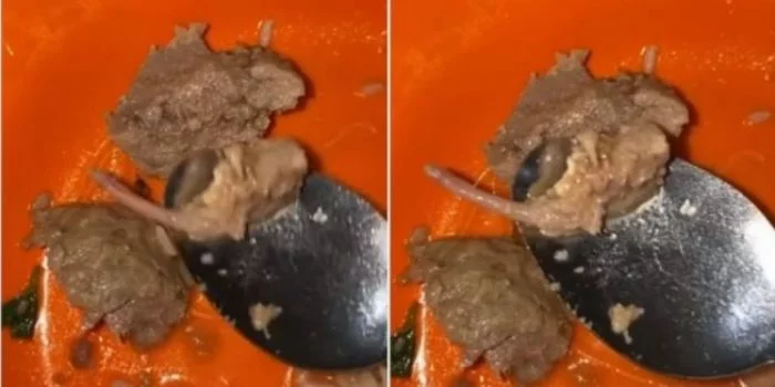 Heboh 'Bakso Tikus' di Karawang, Hasil Lab Negatif: Bagian dari Urat Daging Sapi