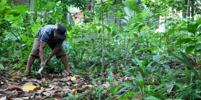 Fenomena Warga Wadas, Lahan Harga Belasan Juta Ditebus Miliaran