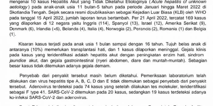 Kemenkes Selidiki Kasus 3 Anak Indonesia Meninggal Gegara Hepatitis Akut Misterius