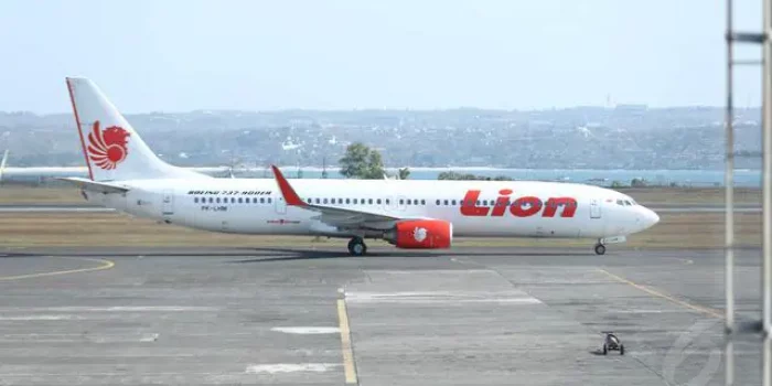 Lion Air JT-800 Kembali ke Bandar Udara Asal Setelah Mengalami Bird Strike, Begini Penjelasannya