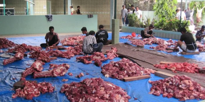 Jangan Gunakan Kantong Plastik untuk Bungkus Daging Kurban, Akademisi: Daun Jati Lebih Awet dan Menghambat Pertumbuhan Mikroba