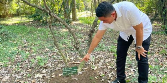 Pengembangan Kasus Perdagangan Narkotika: Tersangka Dapat Biji Kokain dari Pohon Koka di Kebun Raya Bogor, Polisi: Pelaku Lulusan IPB