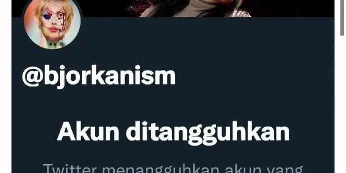 Akun Twitter Bjorka Ditangguhkan