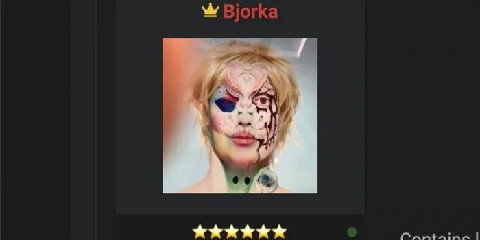 Menerka di Balik Nama Bjorka