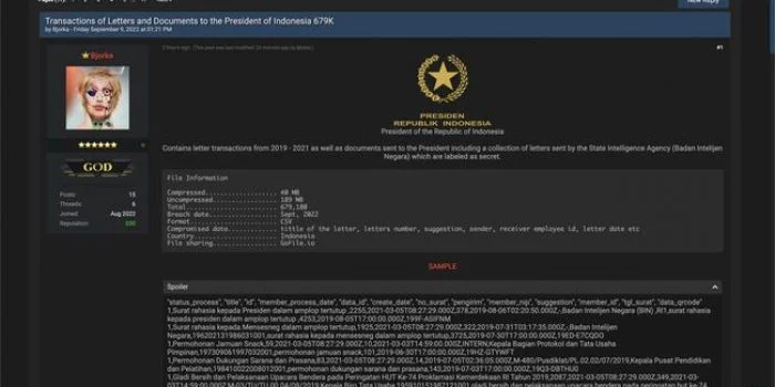 Heboh Bjorka Usai Bocorkan Rangkaian Surat Rahasia Jokowi-BIN, Ini Rincian Sampel Dokumen