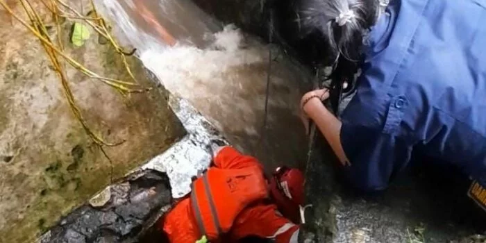 Dinyatakan Hilang, Mahasiswi IPB Adzra Nabila Diduga Terperosok di Gorong-gorong dan Masuk ke Drainase yang Mengalirkan Air ke Sungai Ciliwung