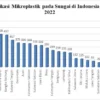 Ecoton Catat Sungai di Indonesia Tercemar Sampah Plastik hingga Kontaminasi Mikroplastik