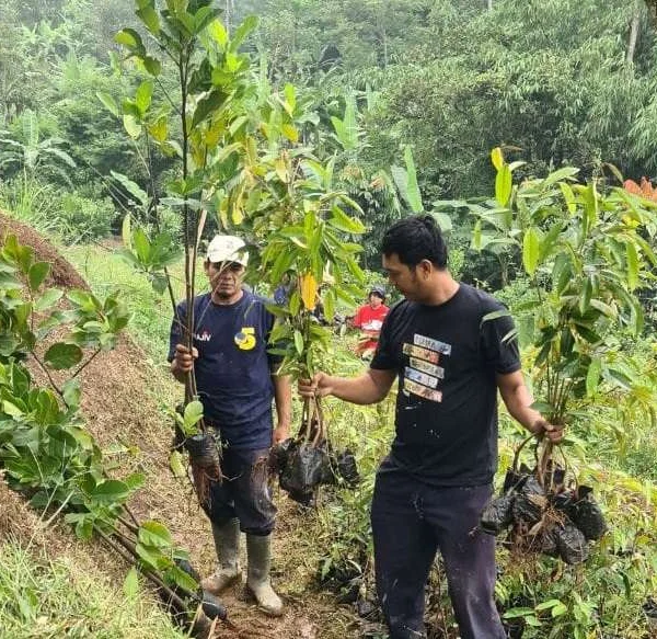 Mirip Padang Pasir Picu Kota Bandung Banjir, Odesa Indonesia Bagikan 12.000 Bibit Tanaman