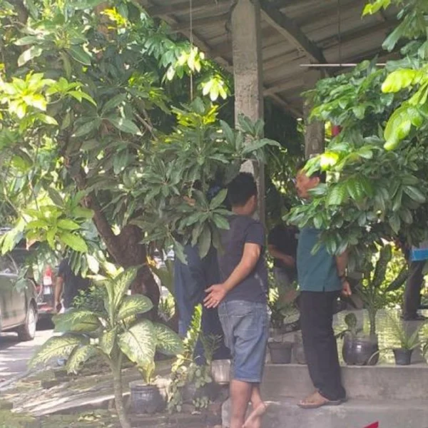 Kepala Dusun di Sukoharjo Ungkap Densus 88 Amankan Pemilik Rumah, Pekerjaannya Hanya Bertani, Jual Susu Kedelai