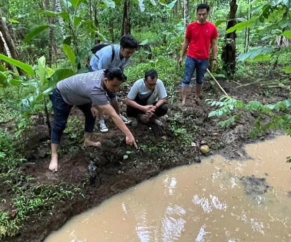 Jasad Perempuan Ditemukan di Dalam Kubangan Air Perkebunan Ketela Magelang