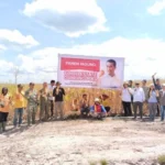 Mentan Pamer Food Estate, Panen Jagung di Gunung Mas Kalimantan Tengah