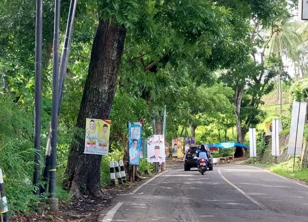 Penuh Sesak Wajah Caleg di Pohon, Sampah Visualnya Berbahaya hingga Biaya Baliho Mahal dan Tak Pengaruhi Elektabilitas