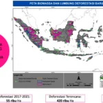 Menanti Presiden yang Serius Terhadap Kebijakan Bioenergi di Indonesia, Begini Saran Organisasi Masyarakat Sipil