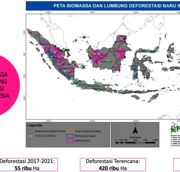 Menanti Presiden yang Serius Terhadap Kebijakan Bioenergi di Indonesia, Begini Saran Organisasi Masyarakat Sipil