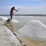 Garis Pantai Terpanjang Kedua di Dunia, Indonesia Belum Punya Status Produsen Garam Terbesar, Ada Masalah Impor dan Kontaminasi Mikroplastik