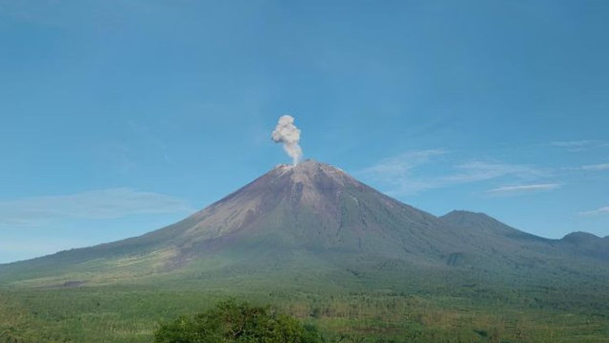 Hari Ini, PVMBG: Abu Vulkanik Gunung Semeru Setinggi 800 Meter