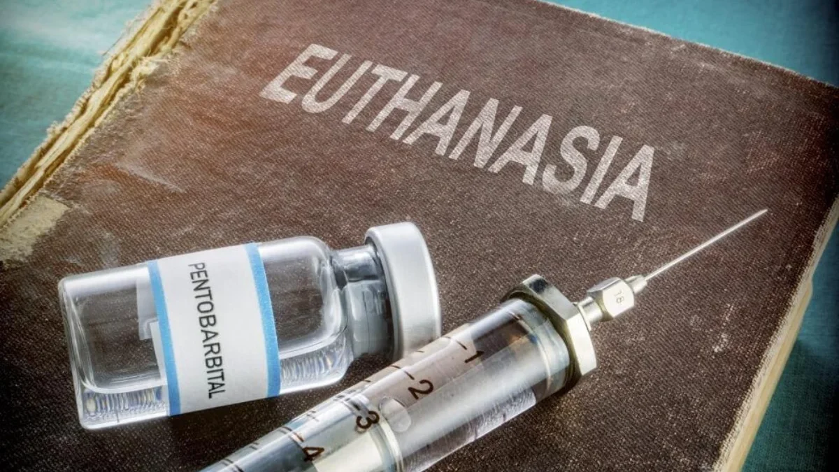 Perdebatan Euthanasia Terkait Legalitas Masih Berlangsung di Dunia Kesehatan