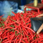 Makin Pedas, Harga Cabai Rawit Merah Tembus Rp130 Ribu Jelang Imlek