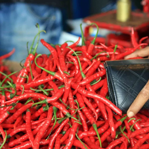 Makin Pedas, Harga Cabai Rawit Merah Tembus Rp130 Ribu Jelang Imlek