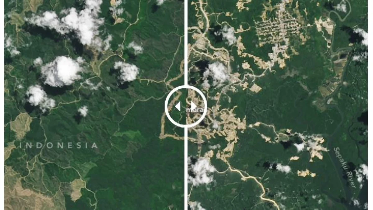 National Aeronautics and Space Administrationcode Soroti Perubahan Kawasan Hutan Kalimantan Usai Pembangunan IKN