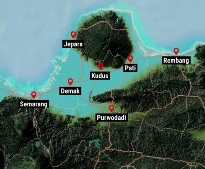 Sejak Abad ke-7 Aktivitas Pembabatan Hutan, Ini Penyebab Selat Muria Jadi Daratan