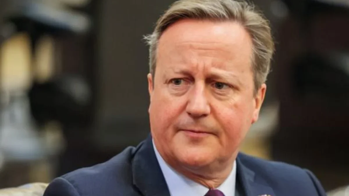 Menteri Luar Negeri (Menlu) Inggris David Cameron