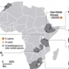 Infografis asal usul manusia di Afrika. (Jurnal Science)