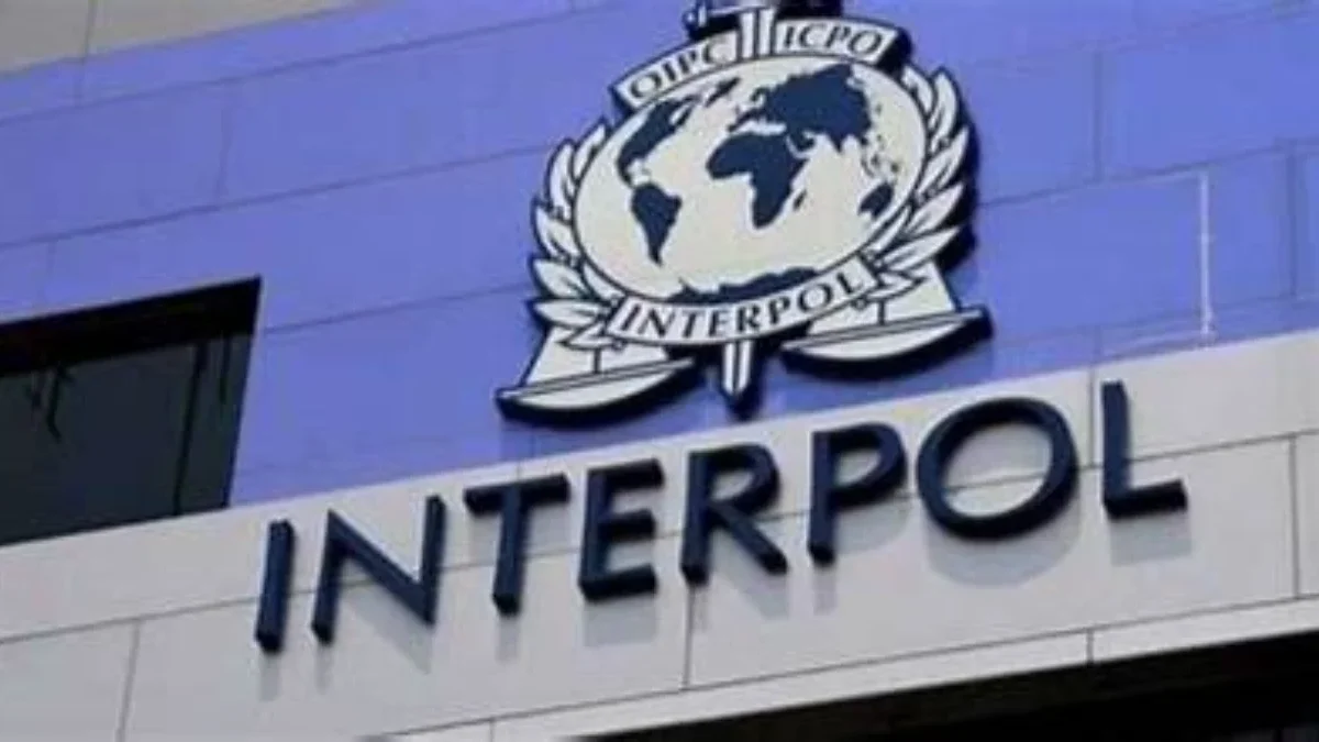 Interpol