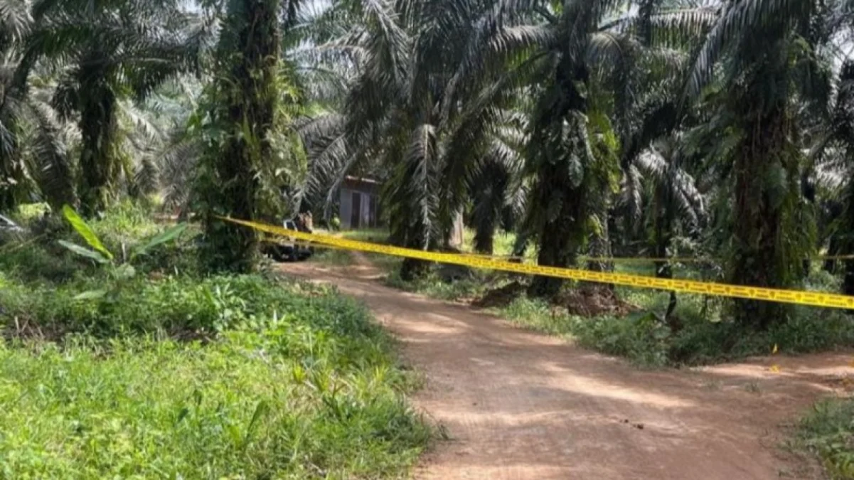 Lokasi warga asing ditemukan meninggal dengan luka tembak di kebun sawit perorangan di daerah Sepupok, Niah, M