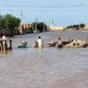 Banjir di Sudan. Foto: X @altaghyeersudan