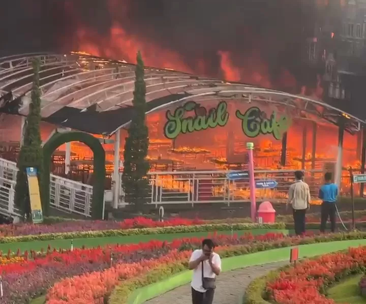 Kebakaran melanda objek wisata Taman Bunga Celosia di kawasan Bandungan, Kabupaten Semarang, Selasa (6/8).