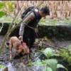 Anjing K-9 diterjunkan ke TKP tewasnya gadis penjual gorengan di Nagari Kayu Tanam, Sumatera Barat. Foto: Dok.