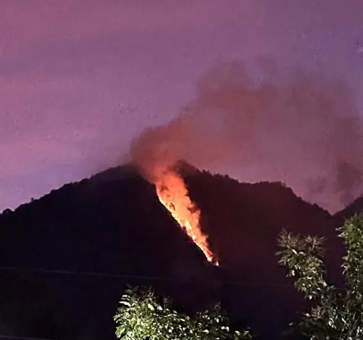 Kebakaran Gunung Telomoyo MALAM INI Rabu 18 September 2024, Api Hanguskan Lereng Pemadaman Masih Berlangsung