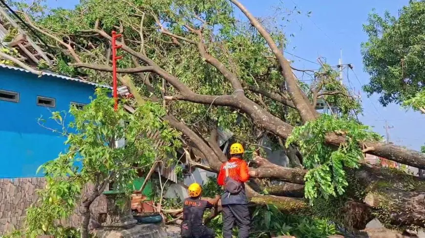 Rumah rusak tertimpa pohon tumbang di Kelurahan Manisrejo Magetan. Nusadaily/ Istimewa.