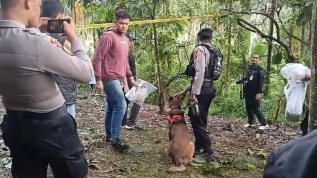 Foto K9 Diturunkan Mencari Barang Bukti di Sekitar TKP Tewasnya Gadis Penjual Gorengan di Sumbar: (dok istimew