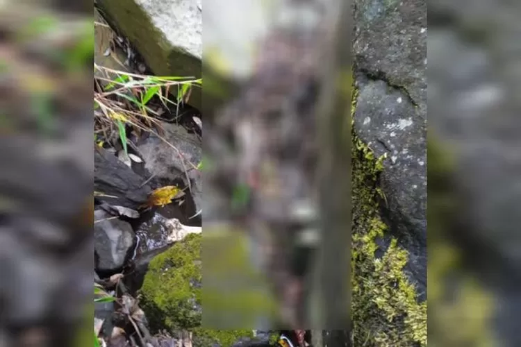 Kerangka Manusia yang ditemukan pendaki di wilayah aliran Sungai Pengkol Sembilan, Pos 2 Pendakian Gunung Sumb